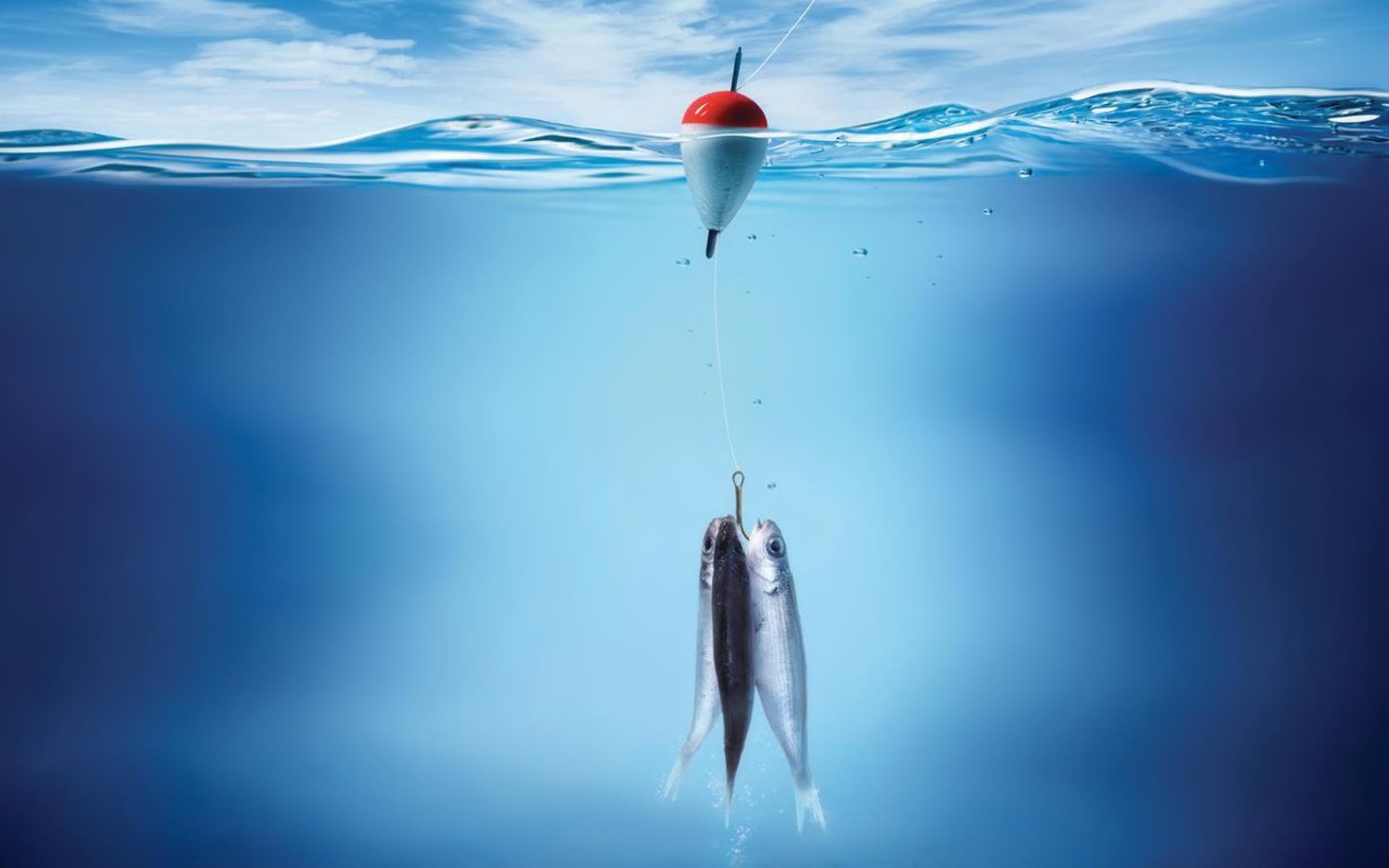 Fishernet